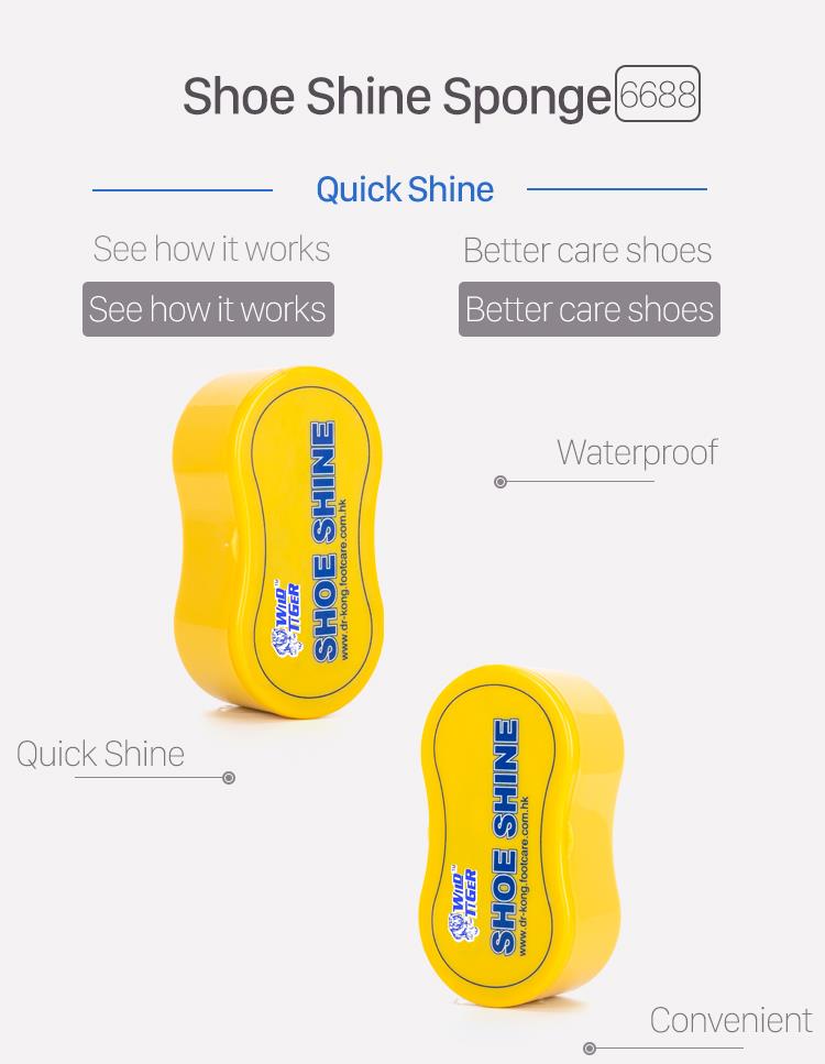 Portable shoe sponge